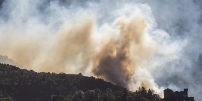 Im Tessin gibt es immer wieder Waldbrände. Waldbrand Tessin