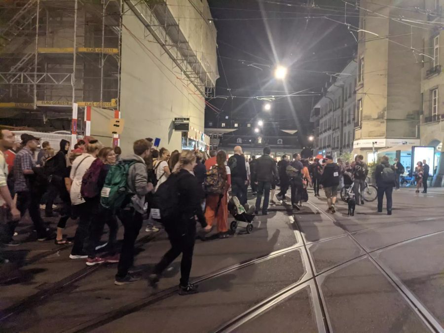 Die Demonstration lief durch die Altstadt.