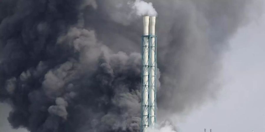 Die Untersuchungen der Russ- und Staubrückstände haben nur eine geringe Schadstoffbelastung ergeben. Foto: Oliver Berg/dpa