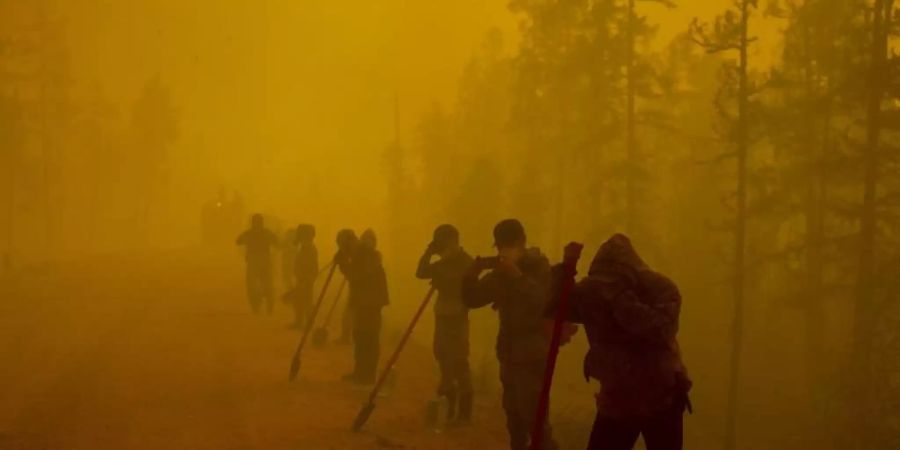 Freiwillige Helfer machen am Ort eines Waldbrands im Gebiet Gorny Ulus westlich von Jakutsk eine Pause. Foto: Ivan Nikiforov/AP/dpa