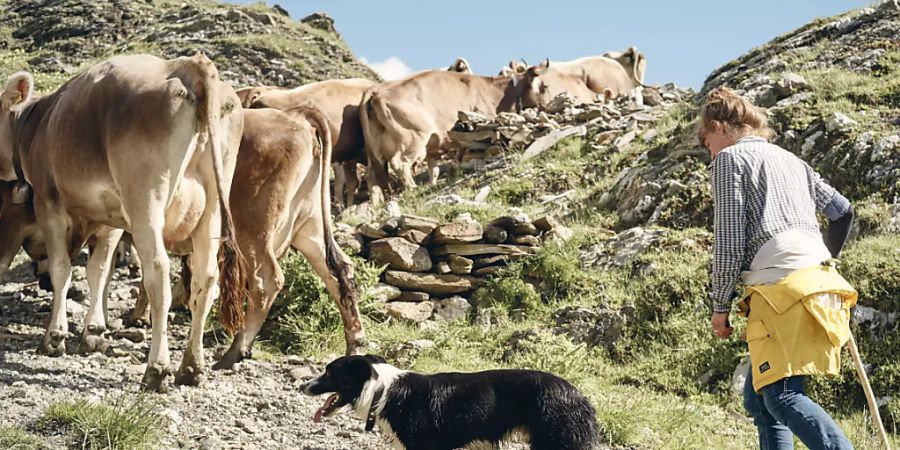 Das Parlament will Partnerinnen und Partner von Landwirtinnen und Landwirten besser schützen. Insbesondere für Bäuerinnen sollen die finanziellen Risiken reduziert werden. (Symbolbild)