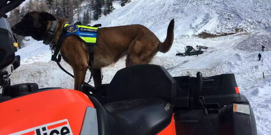 Auch Hunde kamen dabei zum Einsatz.