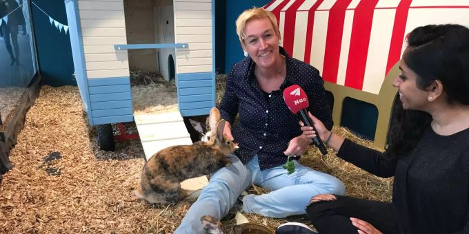 Zuschauerattraktion in Bern - Am Loebegge hoppeln die Hasen im Schaufenster
