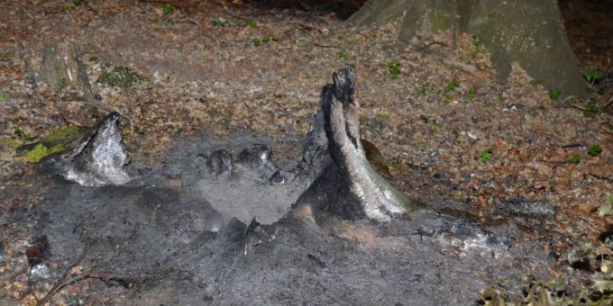 Appenzell Ausserrhoden - Feuerwehr verhindert Waldbrand