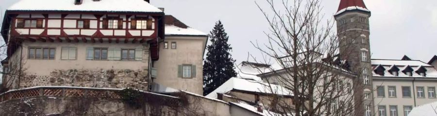 Stadt Frauenfeld