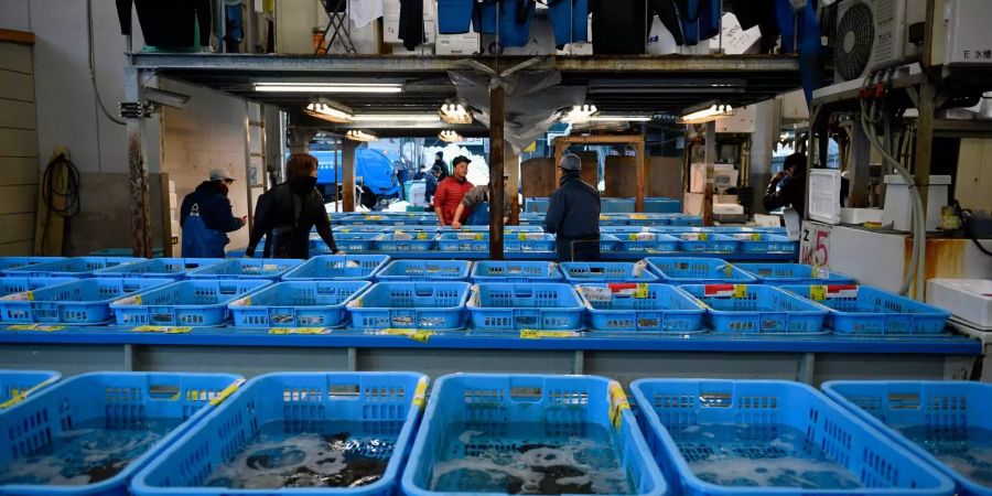 Die Abteilung der lebenden Fische im Tsukiji-Fischmarkt in Tokio, dem grössten Fischmarkt der Welt.