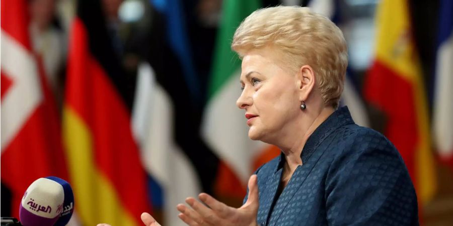 Die litauische Präsidentin Dalia Grybauskaite spricht vor Journalisten.