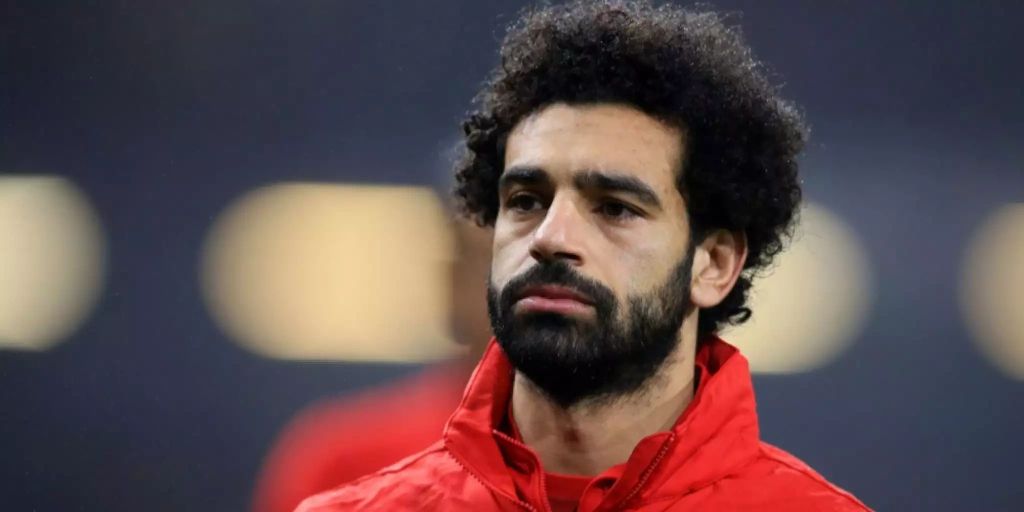 Ameisenart Wurde Nach Liverpool Torjäger Mohamed Salah Benannt