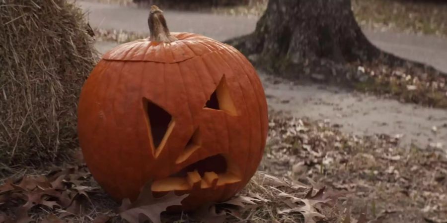 Die legendäre Horrorfilmreihe «Halloween» kehrt dieses Jahr ins Kino zurück.