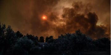 Waldbrand Euböa