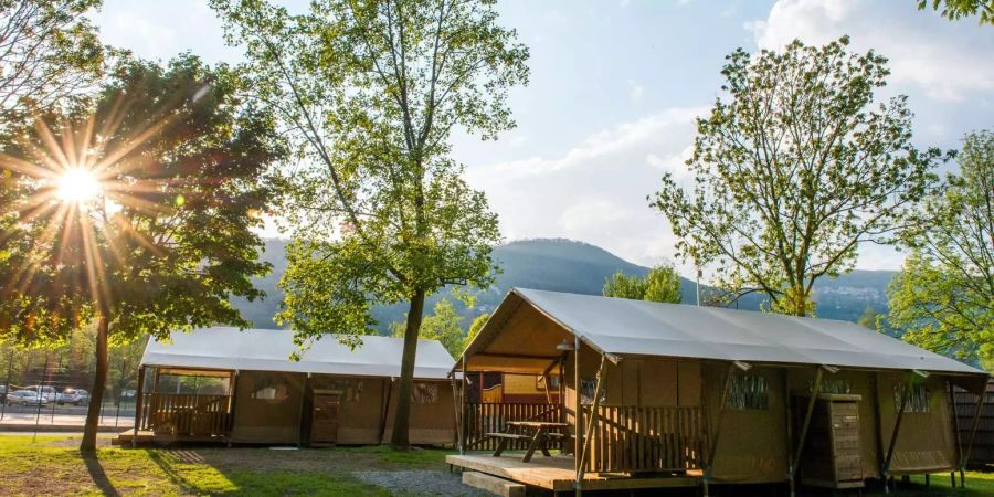 Glamping-Unterkünfte wie dieses Safarizelt sind beim TCS derzeit äusserst beliebt, Bild: zvg/TCS