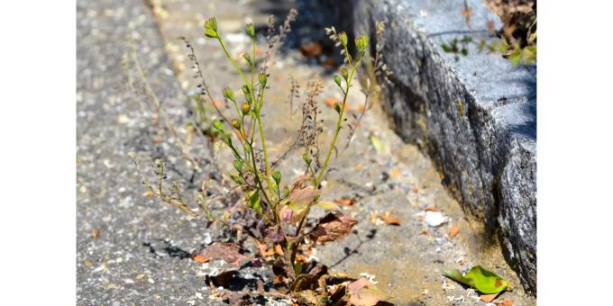 Die Natur lässt sich nicht eingrenzen. Die Natur lässt sich nicht eingrenzen.