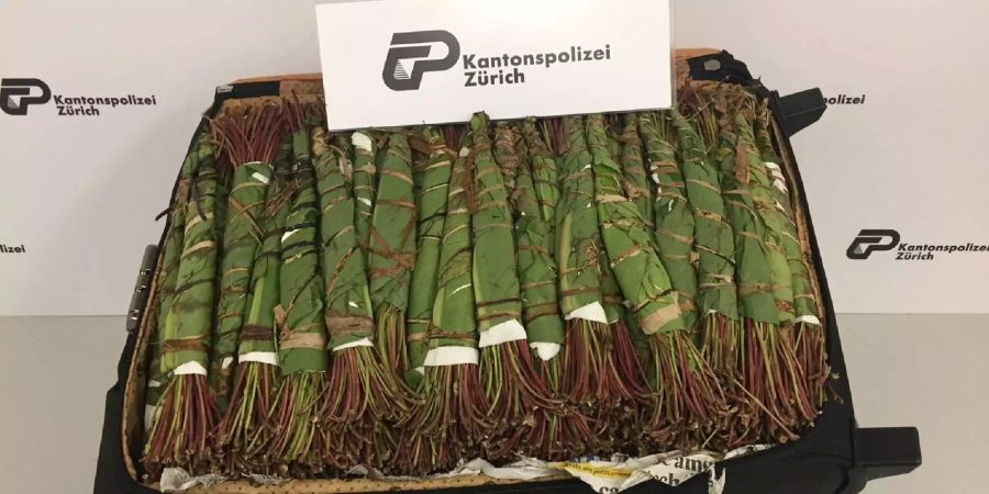 Die Kapo Zürich stellte diese Woche am Flughafen 58 Kilo Khat sicher.