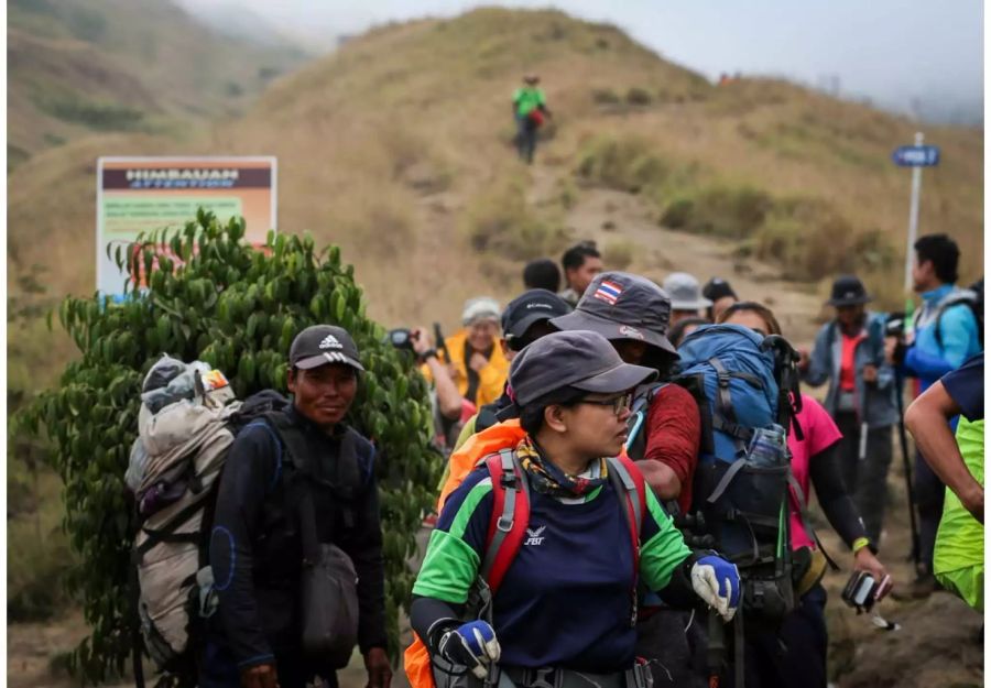 543 Wanderer wurden auf Lombok in Sicherheit gebracht.