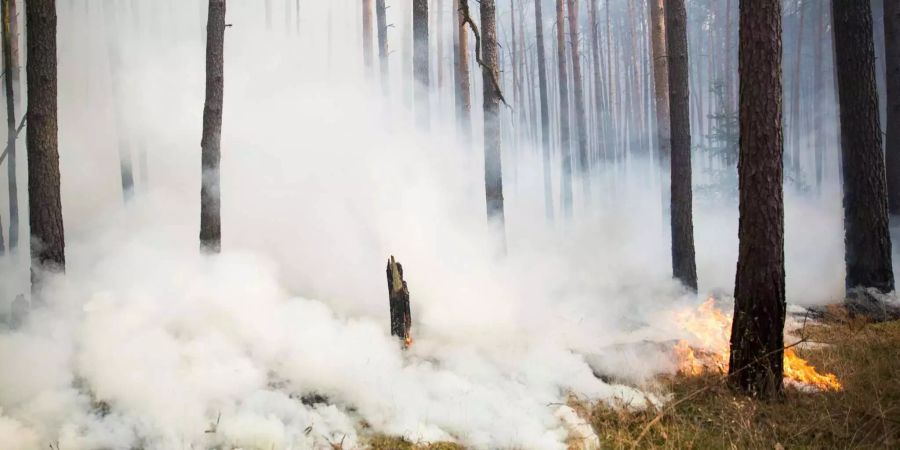 Der Waldbrand breitete sich stark aus, ist nun aber weitgehend unter Kontrolle.