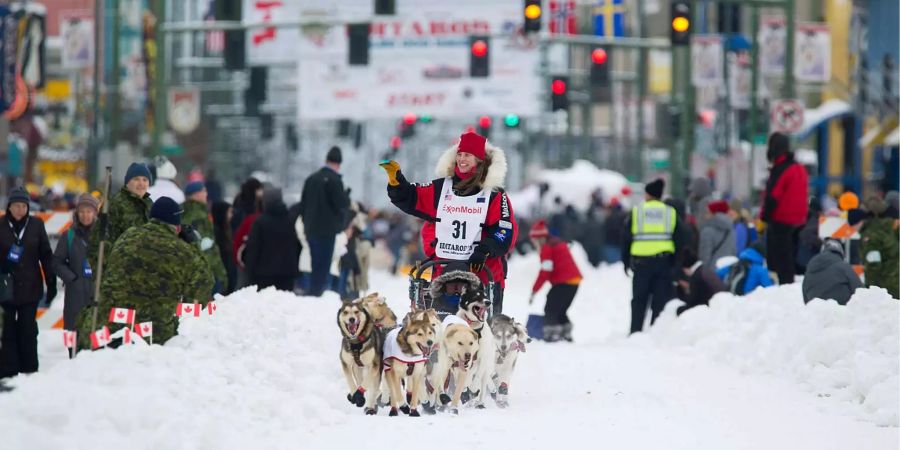 Start zum Schlittenhunderennen Iditarod in Alaska-