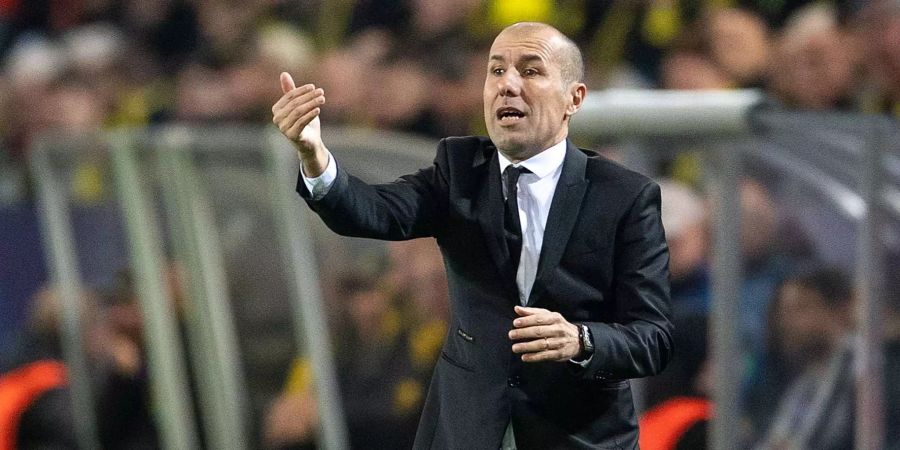 Jardim Thierry Henry