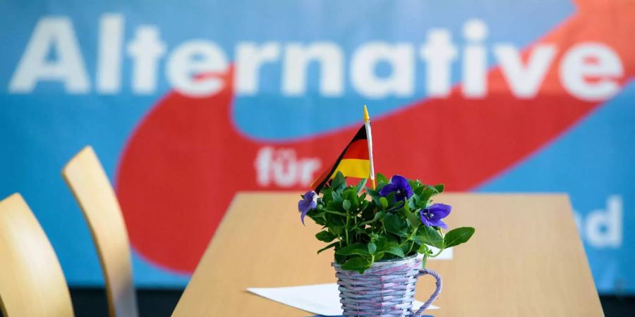 AfD Saarland