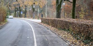 Gemeinde - Zurückschneiden von Bäumen und Sträuchern