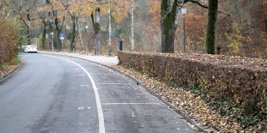 Weisse Parkfelder am Strassenrand. (Symbolbild)