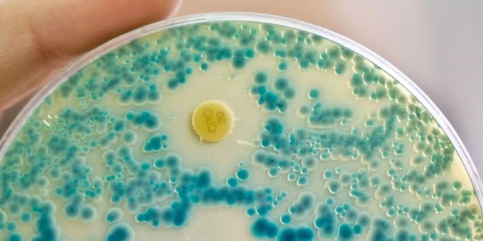 In Europa - Antibiotika-Resistenzen Ursache für 33'000 Tote jährlich