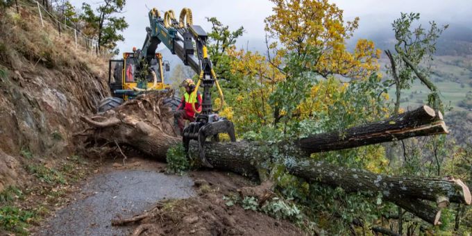 Sturm Vaia - Nach Sturm liegen bis zu 25'000 Kubikmeter Holz