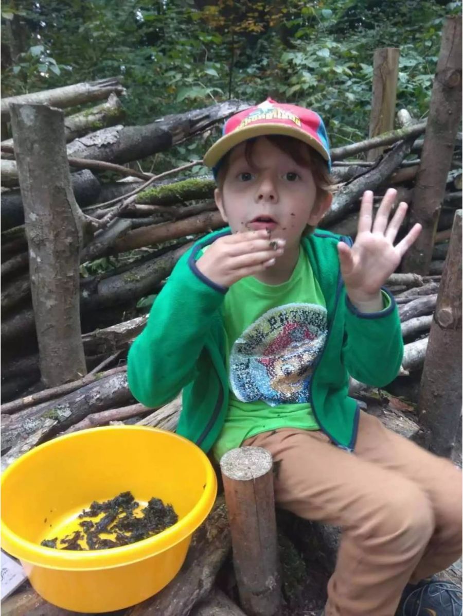 In der Waldspielgruppe «Fuchstreff» in Meisterschwanden gibt es ausschliesslich veganes Essen.