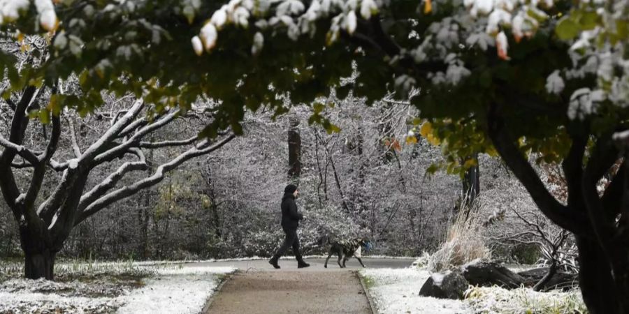 Ein Spaziergänger mit seinem Hund.