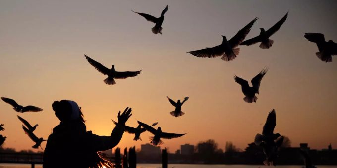 Die Vögel verschwinden aus Europa. Eine Frau füttert Vögel am östlich des Zentrums liegenden Tiefen See.