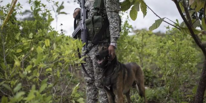 Ein Mitglied des kolumbianischen Militärs. Symbolbild. Foto: Ivan Valencia/AP/dpa/Archivbild Ein Mitglied des kolumbianischen Militärs. Symbolbild. Foto: Ivan Valencia/AP/dpa/Archivbild