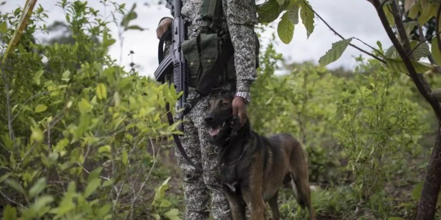 Ein Mitglied des kolumbianischen Militärs. Symbolbild. Foto: Ivan Valencia/AP/dpa/Archivbild