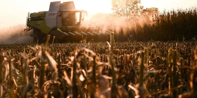 Landwirt bei der Maisernte Landwirt bei der Maisernte