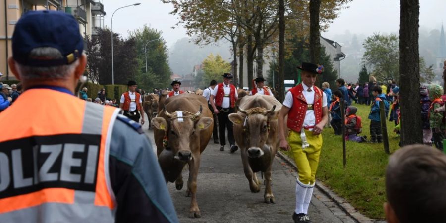 Viehschauen in St. Gallen