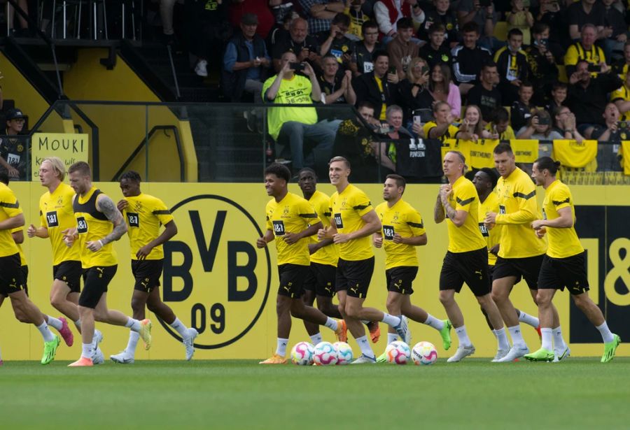 BVB