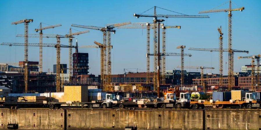 Baukräne in Hamburg