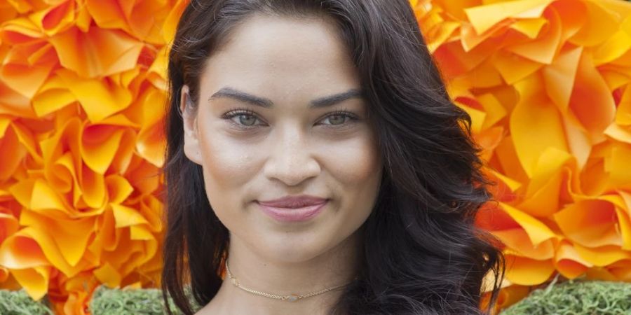 Shanina Shaik hat auf Instagram ihre erste Schwangerschaft bekannt gegeben.