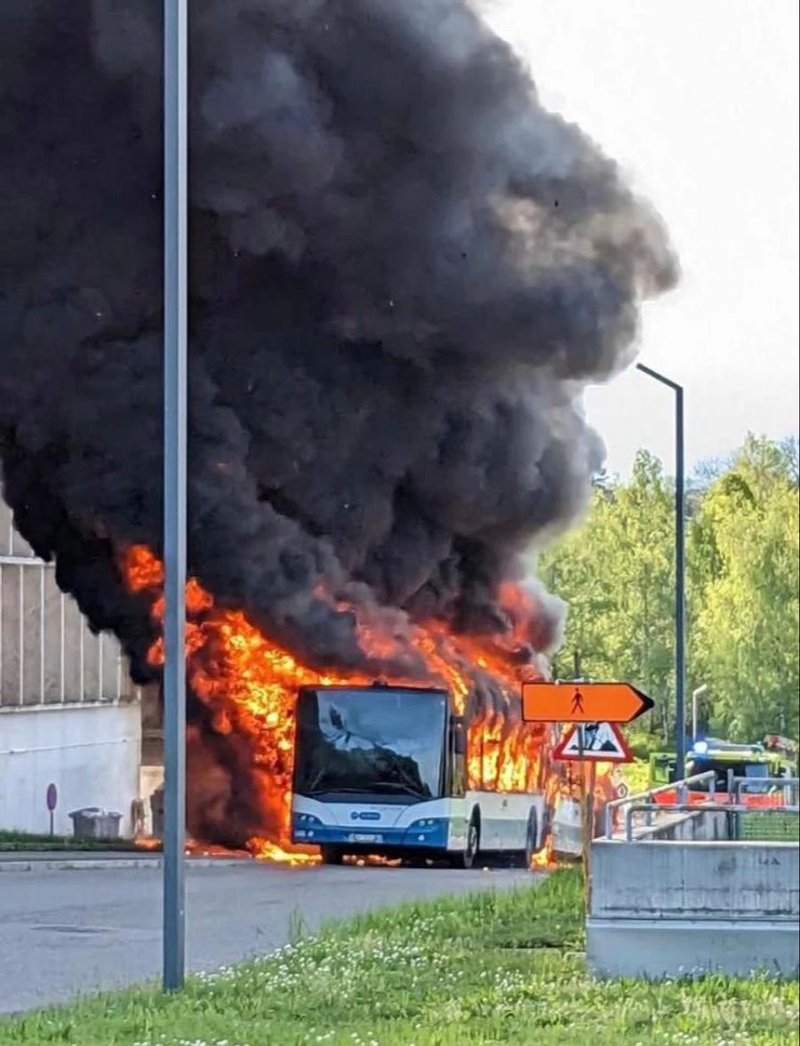 Der Bus wurde rasch Opfer der Flammen.