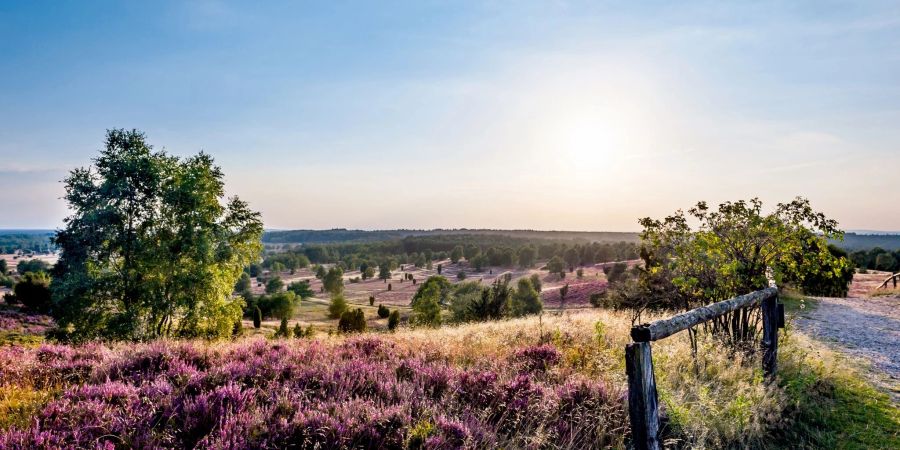 Die Blüte der Besenheide lockt jedes Jahr unzählige Besucher in die Lüneburger Heide. Aber auch bei Schnee und Regen ist die Nachfrage gross.