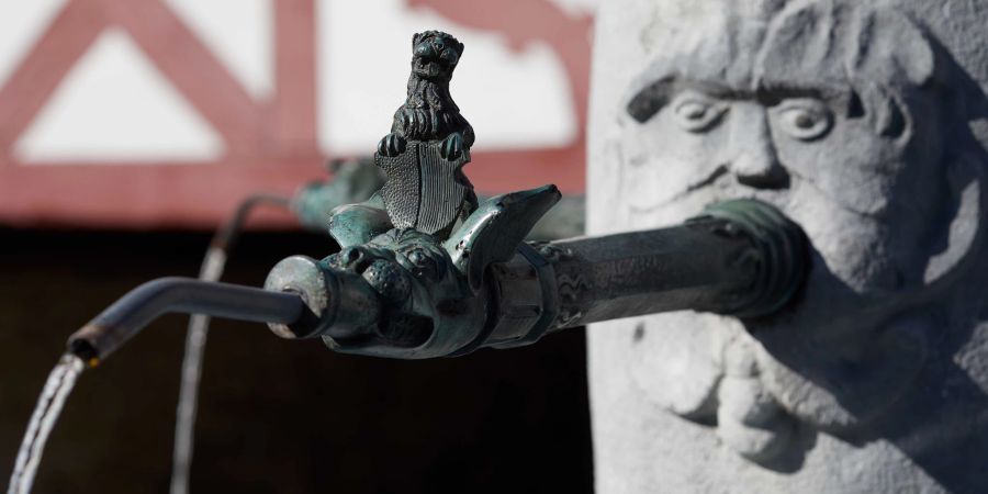 Stadt Sempach Brunnen