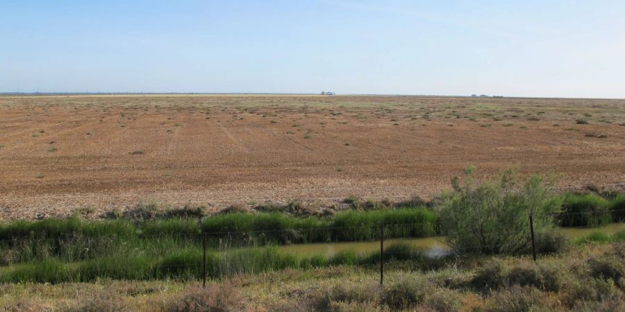 Das Feuchtgebiet Doñana ist in weiten Teilen von Austrocknung bedroht. Nur Gräben und einige wenige der früher zahlreichen Lagunen führen derzeit noch etwas Wasser.