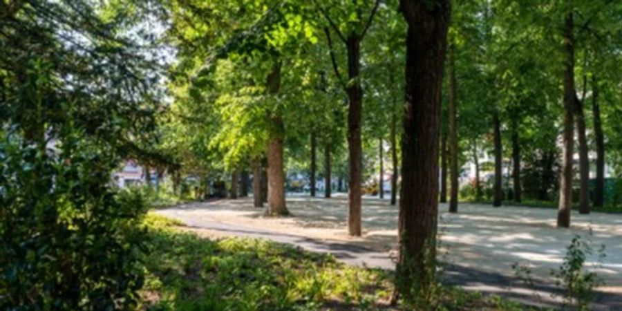 Platz mit Bäumen