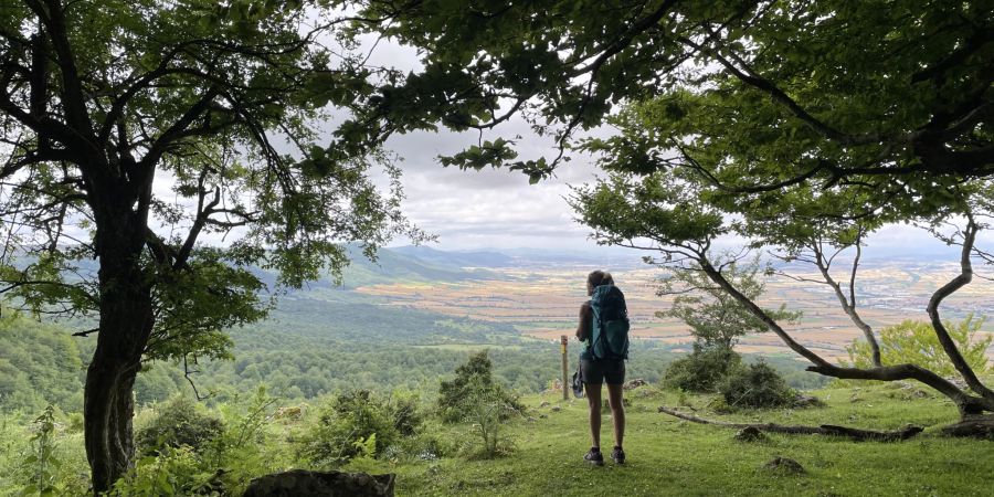 Frau Panorama Wald Aussicht Ebene