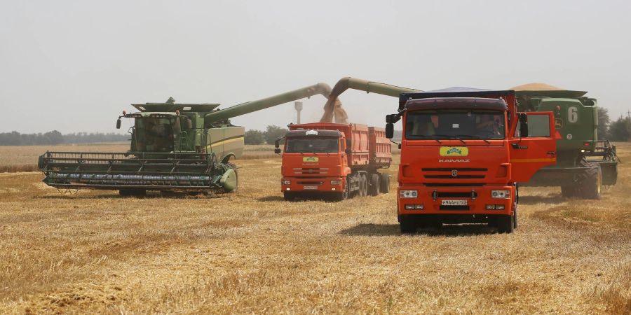 Landwirte ernten mit ihren Mähdreschern Weizen auf einem Weizenfeld in Südwestrussland. Baywa geht davon aus, dass in diesem Jahr ein erheblicher Teil der Getreideexporte aus Russland und der Ukraine ausfallen wird.