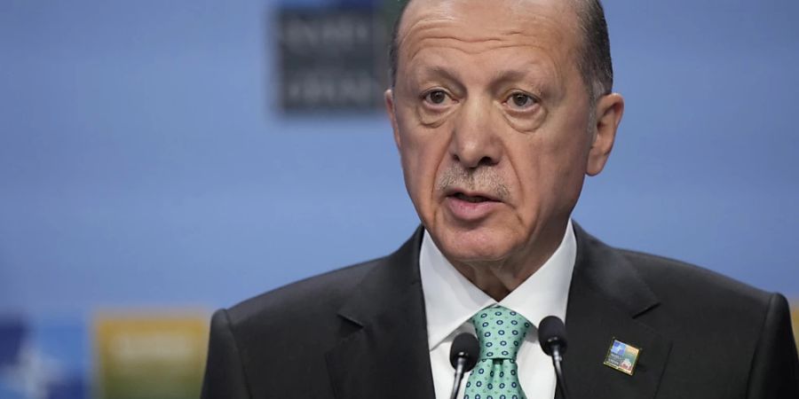 ARCHIV - Der türkische Präsident Recep Tayyip Erdogan mit dem aserbaidschanischen Präsidenten Ilham Aliyev zusammenkommen. Foto: Pavel Golovkin/AP/dpa