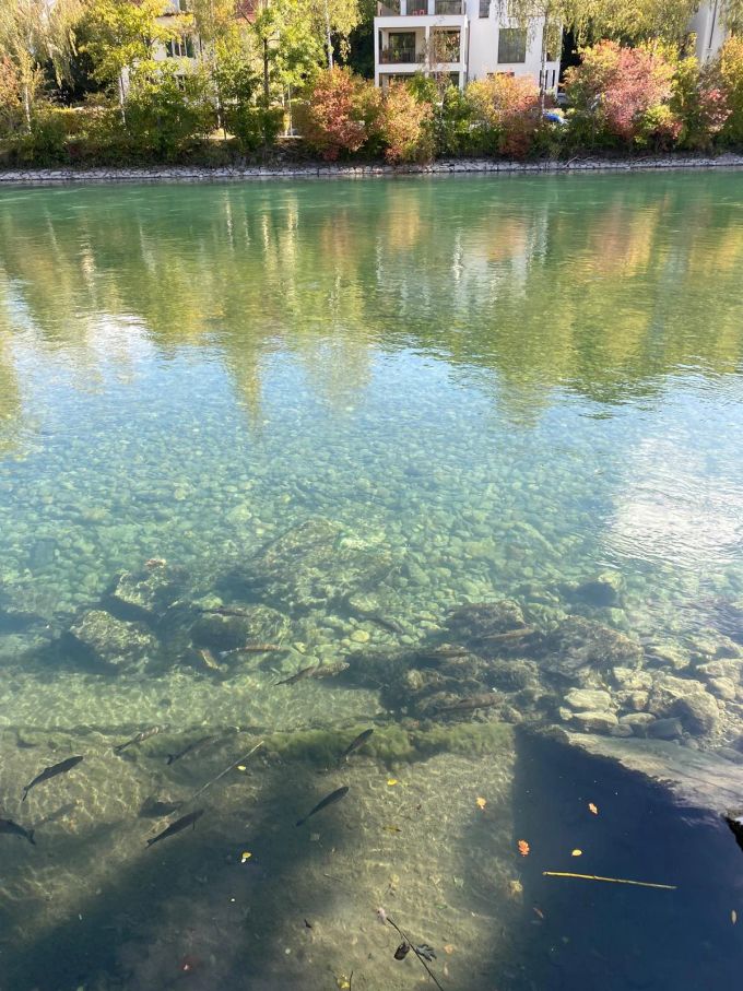 Aare