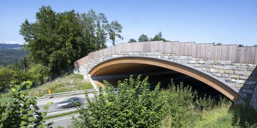 Wildtierquerung Mühleberg