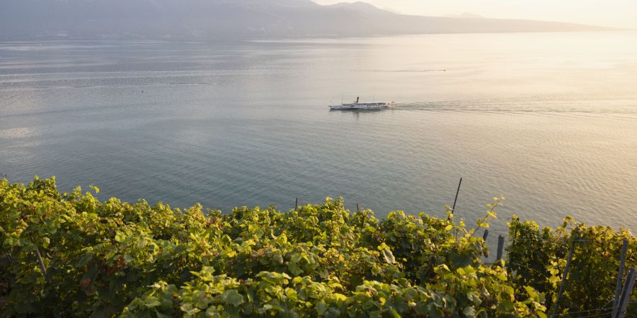 Im Herbst entfaltet der Genfersee einen ganz besonderen Glanz.