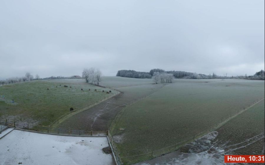 Frostig ja, eine romantische Winterlandschaft eher nicht: Beinwil AG heute Mittwochvormittag.