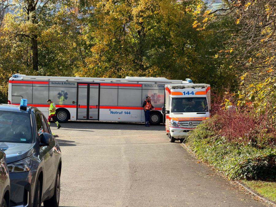 Bilder vom Einsatz in Meilen ZH.
