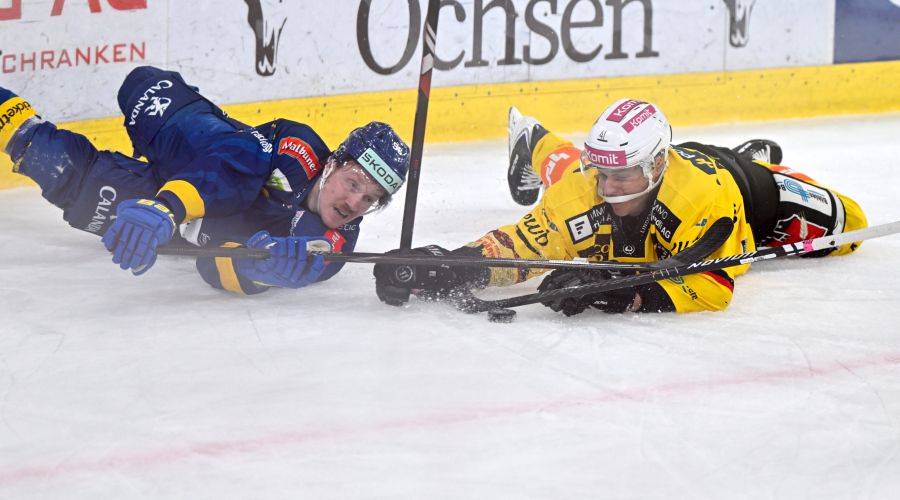 SC Bern